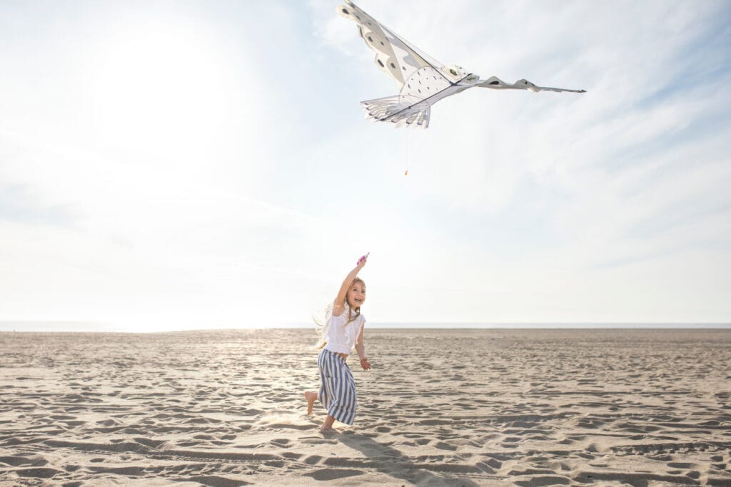 young adult having fun with kite