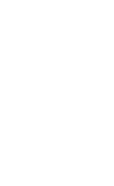 shape 5
