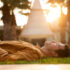 medium shot man laying grass